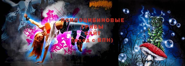 МДПВ Пролетарск