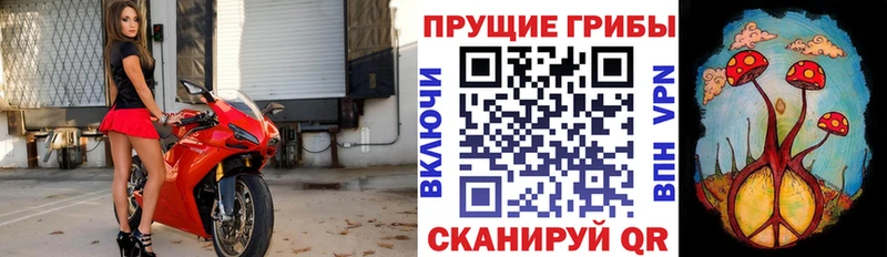 Купить где  Дюртюли  Галлюциногенные грибы прущие грибы 